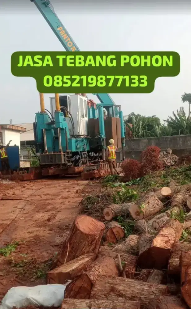 Jasa tebang pohon