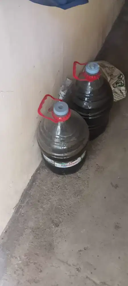 Ekstra Ketapang