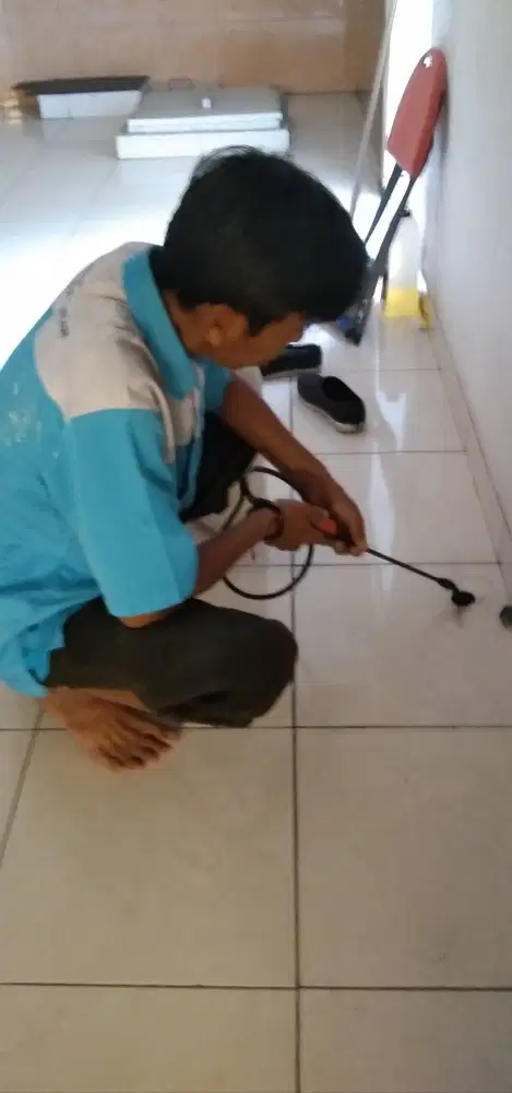 jasa pengendalian Rayap