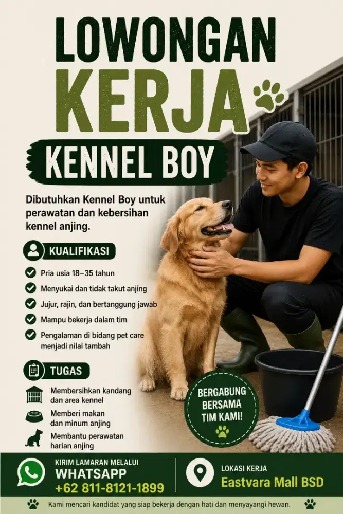 Dibutuhkan segera
