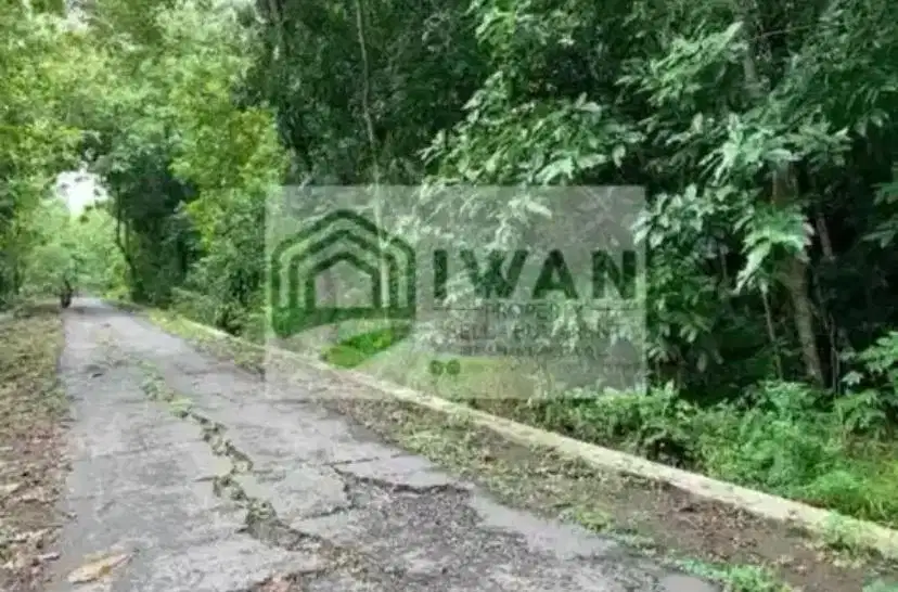 Tanah Pekarangan Strategis Hadap Jalan Lebar Mobil Simpangan