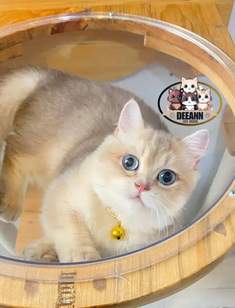 Munchkin BSH IMPORT Ped WCF