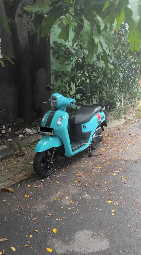 Fazzio SIAP PAKAI