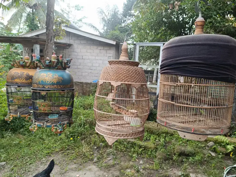 Sangkar/ Kurungan burung Perkutut