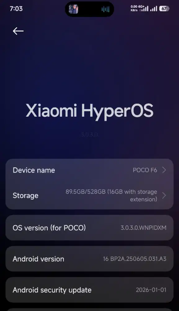 Poco F6 12/512 Titanium NO MINUS