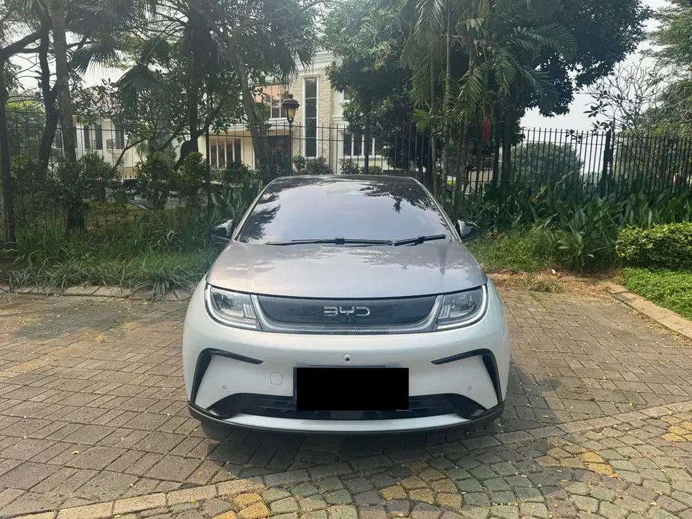Cash!! Byd dolphin premium extended 2024