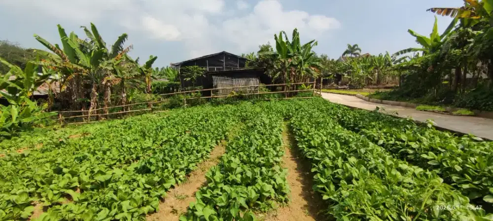 Dijual murah tanah tawangmangu