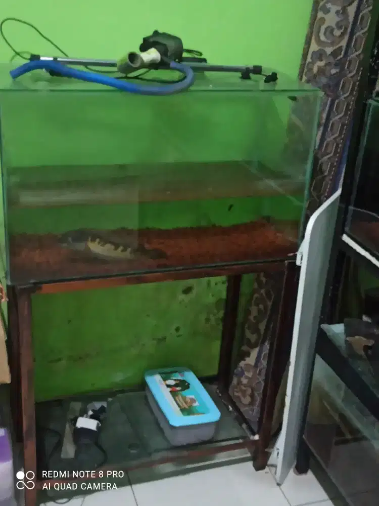 Aquarium dan rak