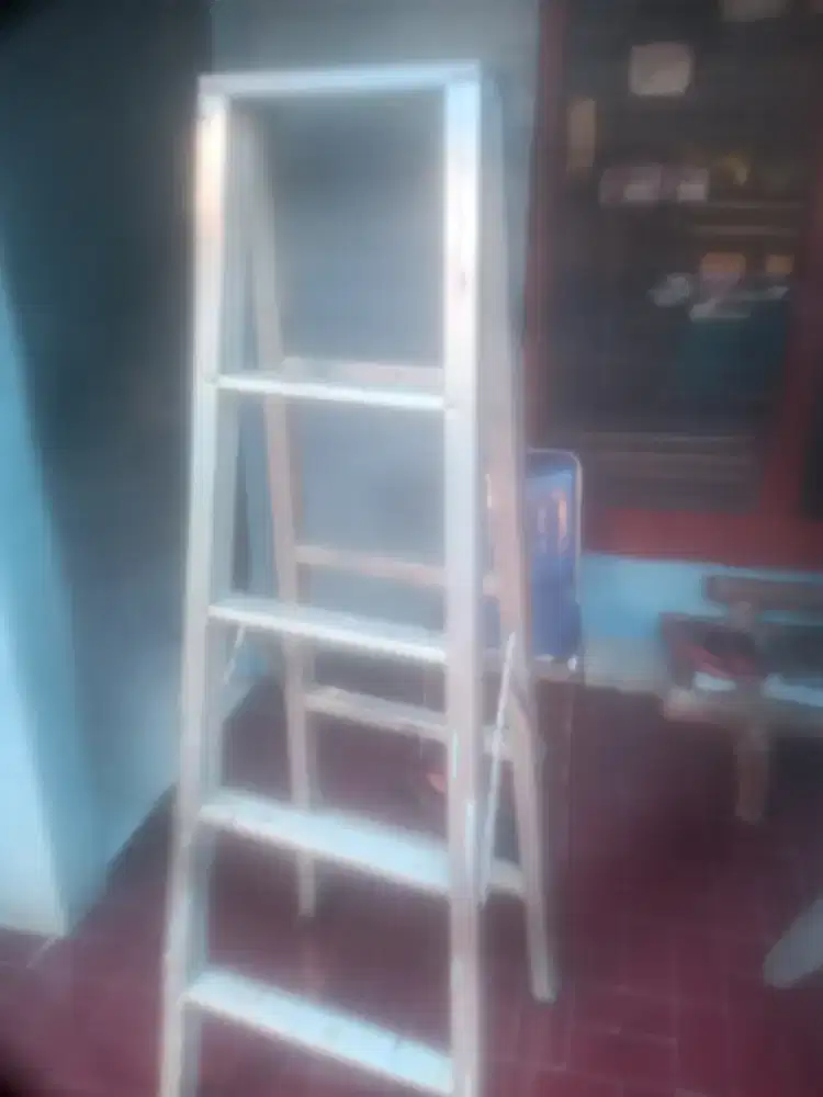 Tangga bina karya 165cm