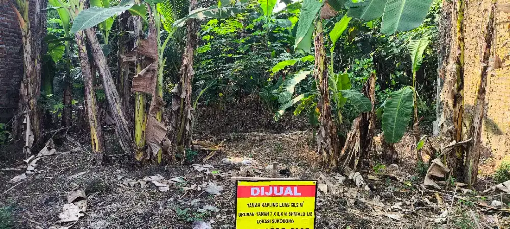 Bismillah Jual Tanah Kavling Dekat Pasar Sukodono Strategis Hunian