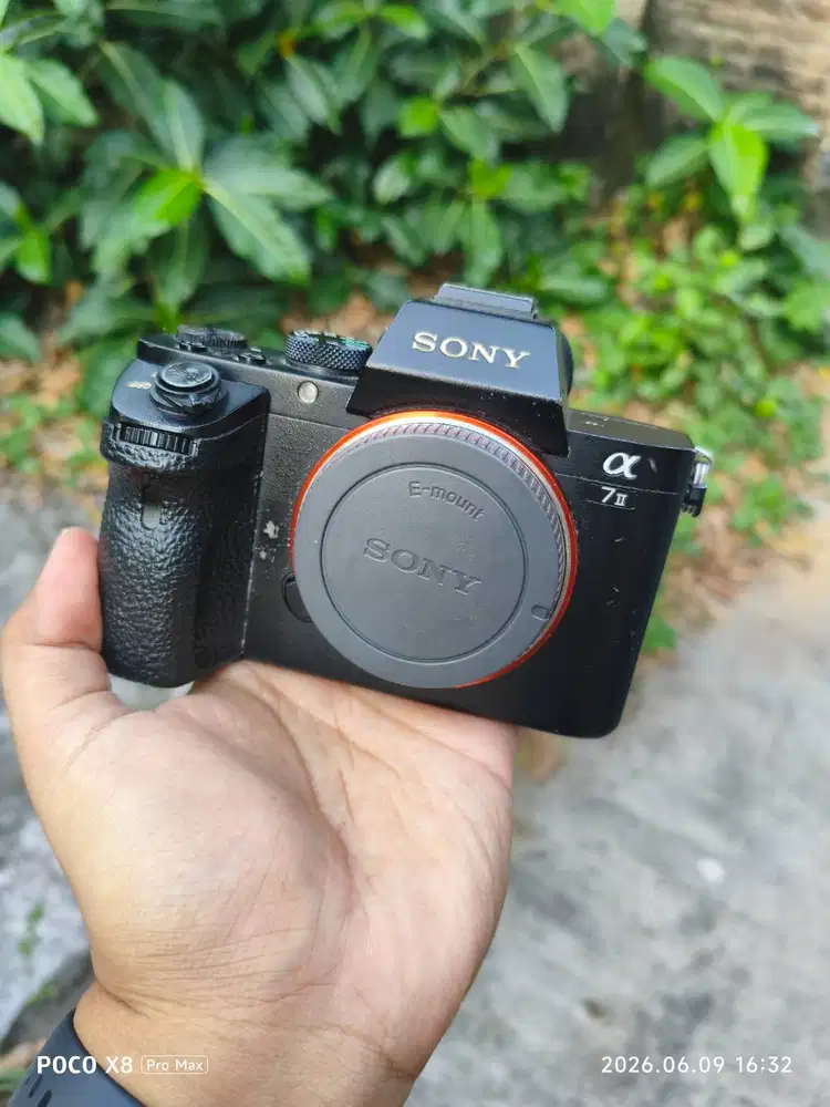 Sony A7 mark II normal