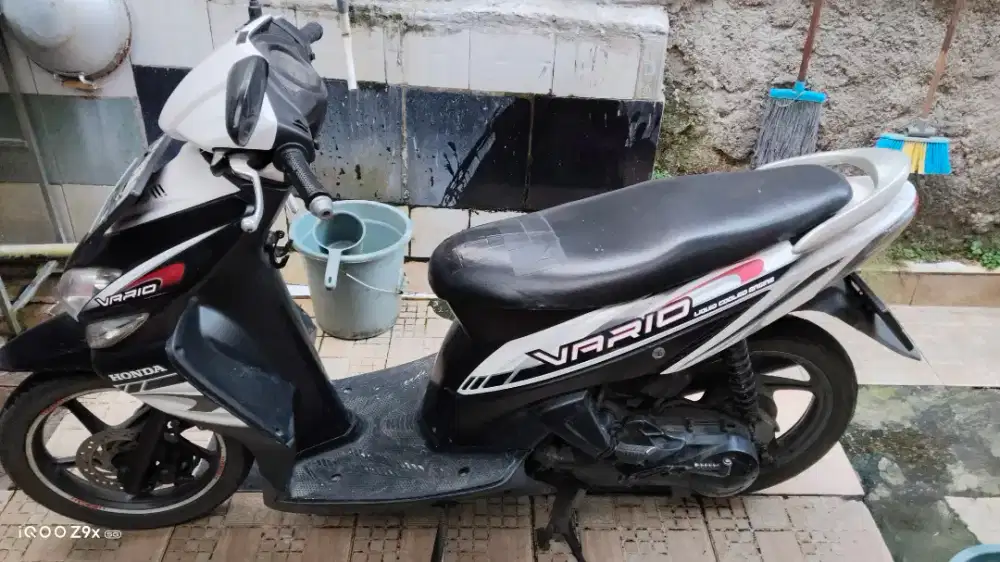 vario 110 karbu