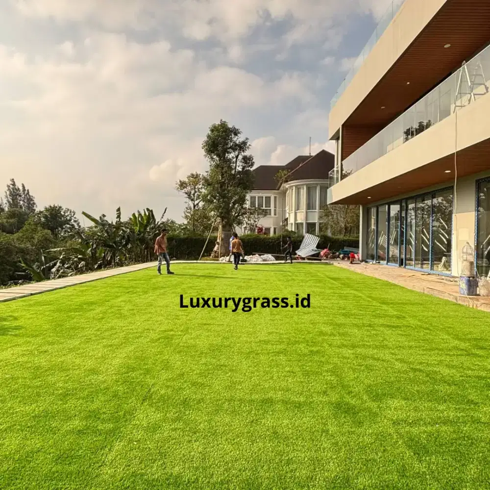 Rumput sintetis premium harga distributor, kualitas terbaik