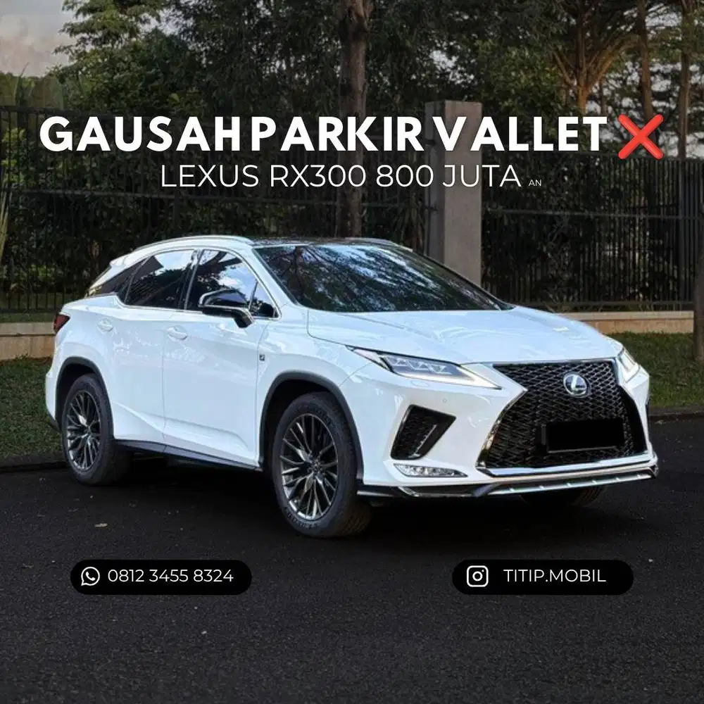 [CASH] Lexus RX300 2022