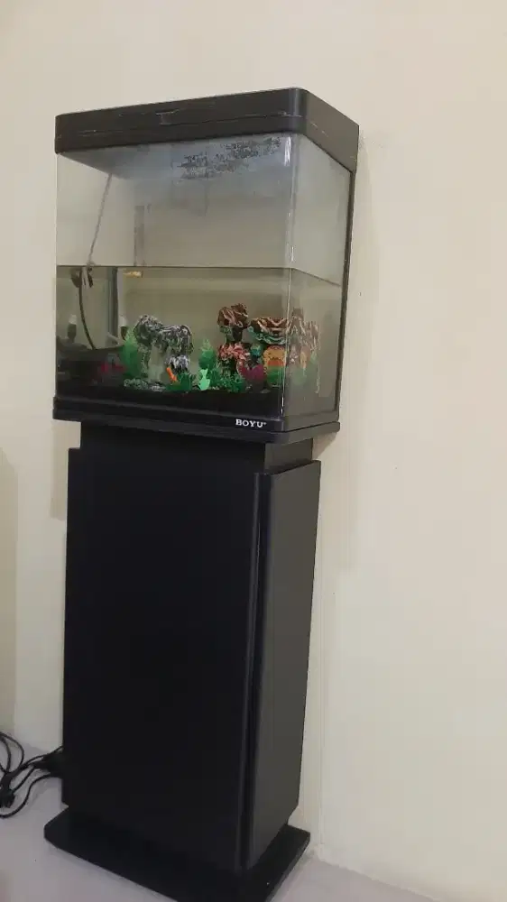 Aquarium ikan marak Bayu