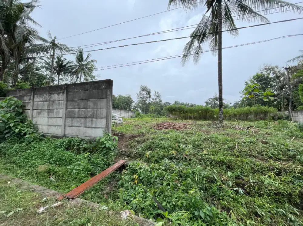 Tanah 4287m2 kandangan Srengat Blitar dijual BU