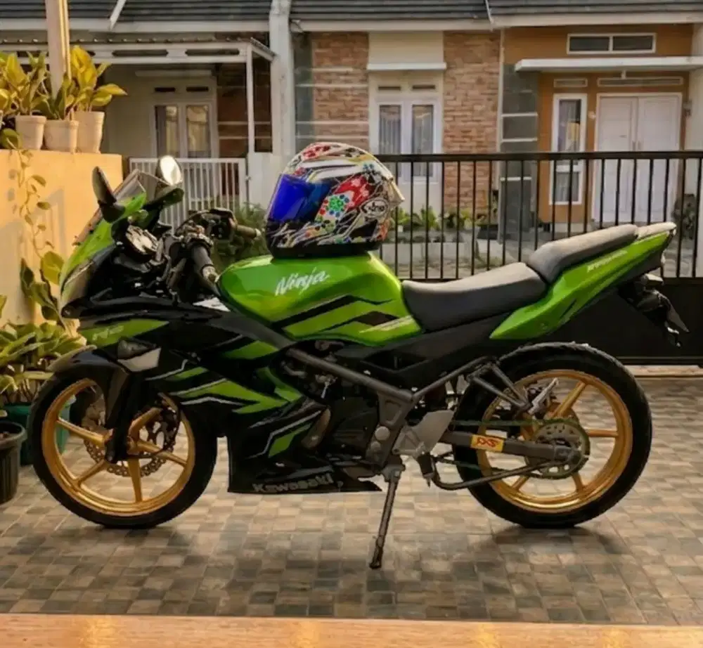 Kawasaki ninja rr 2014