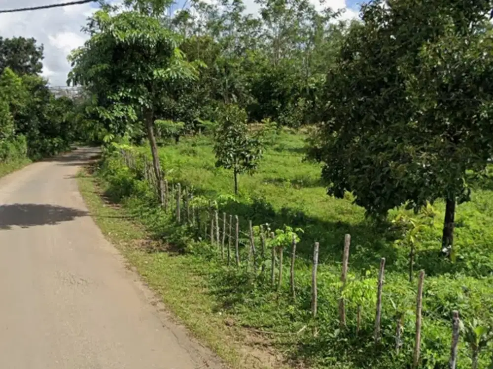 DIJUAL LAHAN KEBUN 1,63 HEKTAR DI DESA WIRAJAYA, JASINGA, BOGOR