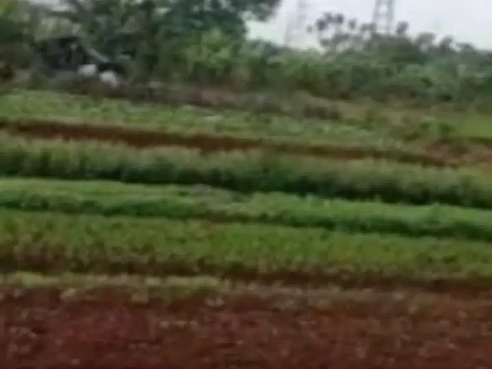 Di Jual. lahan  Kel  Ujung Menteng Kec Cakung  Jakarta Timur