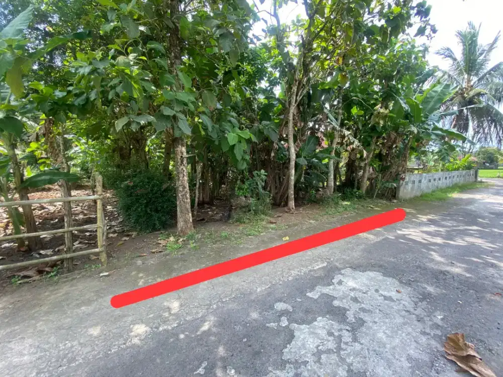 JUAL TANAH MILIK SENDIRI MURAH MERIAH AREA SLEMAN PINGGIR ASPAL
