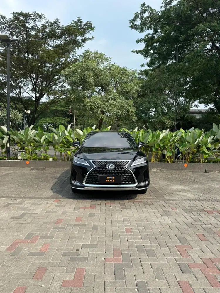 Lexus RX 300 Luxury Facelift 2022