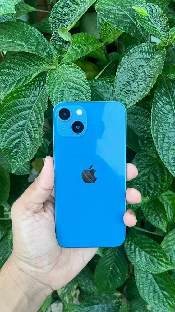 Iphone 13 128gb all oprator