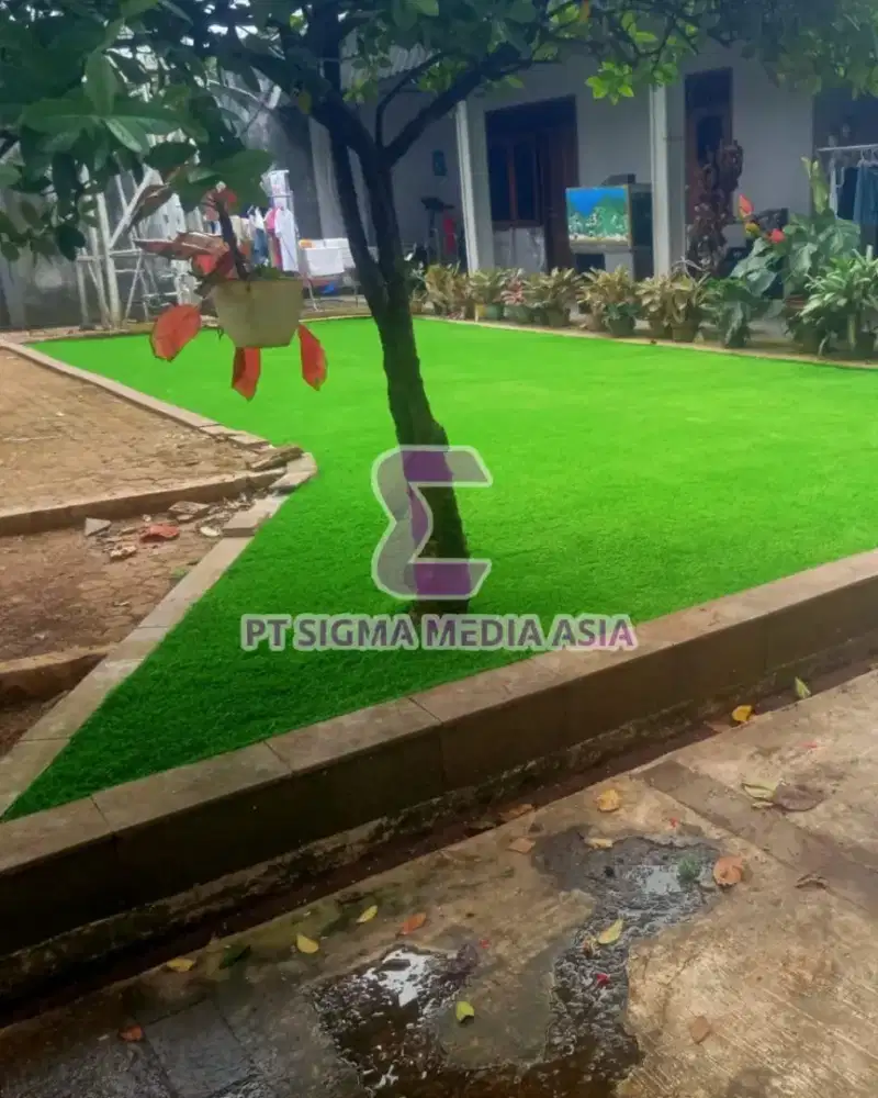 Rumput Sintetis Untuk Halaman Rumah