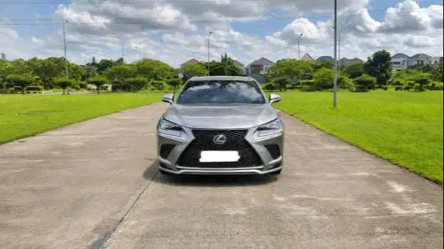 LEXUS NX300 A/T 2018/2019