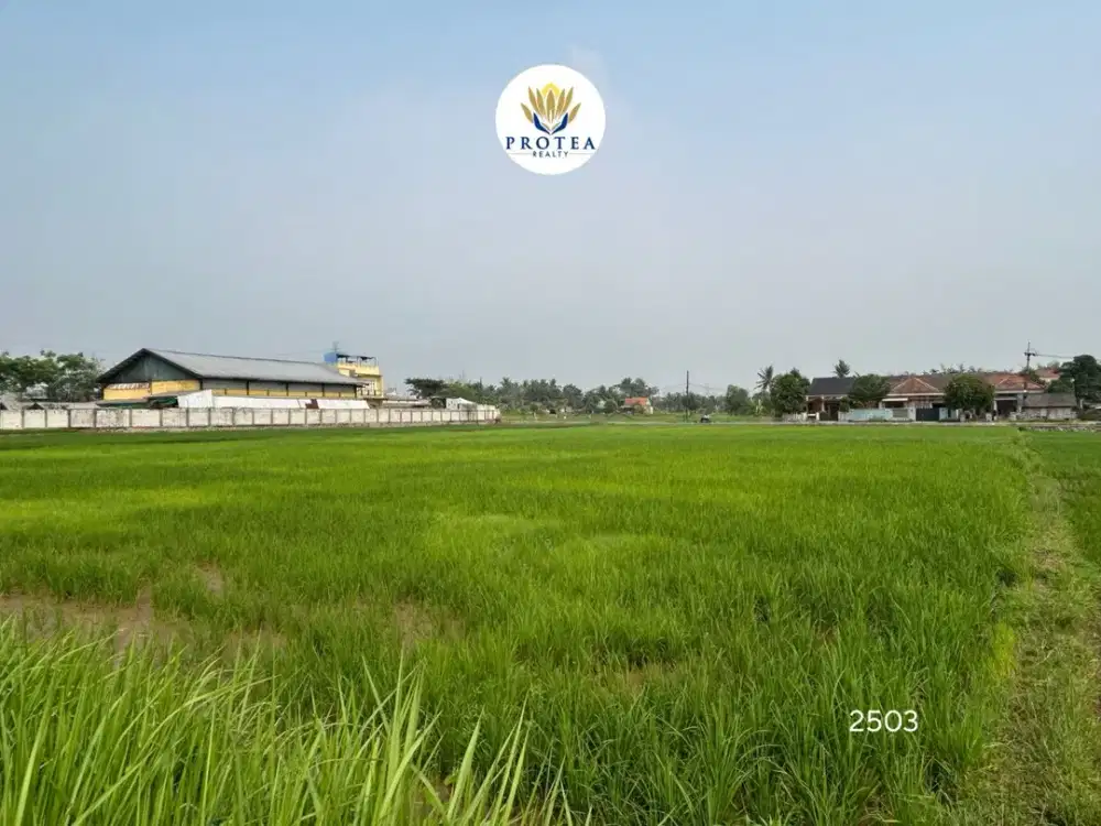 DiJual Tanah Sawah di Pasar Kemis Tangerang