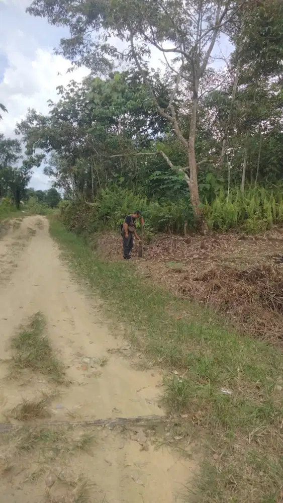Tanah 5003 m2 dekat IKN