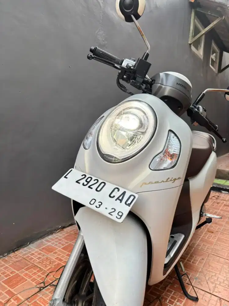 New Scoopy Prestige White Plus