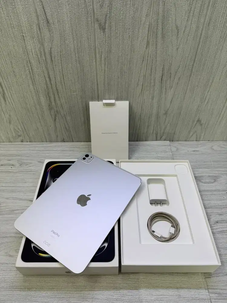 Ipad pro m4 11inc 256gb silver wifi inter fullset