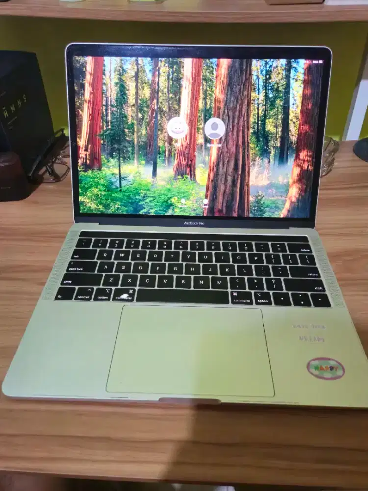 Macbook Pro 2018 13 inch 8/256