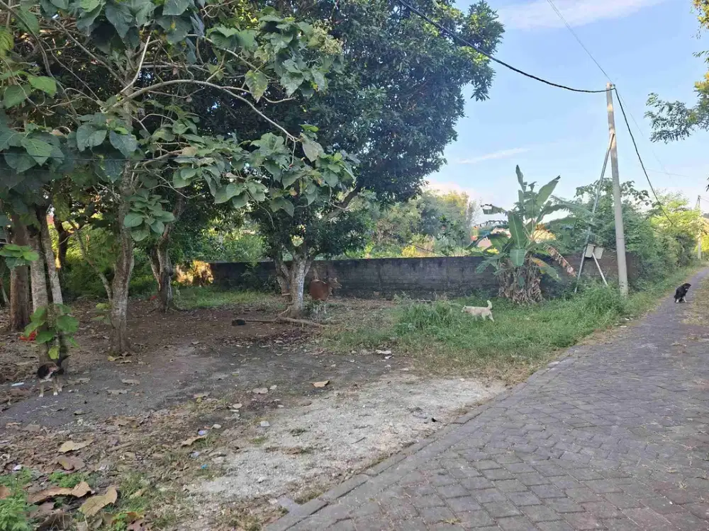Jual Cepat Tanah Luas 500m²/5are Zona Kuning Jl Toyaning, Pura matsuka Ungasan area Investasi strategis