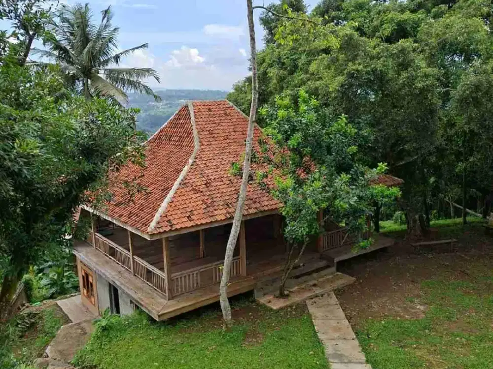 Di jual tanah lokasi sangat strategis sangat cocok untuk hotel Resort dan cafe kekinian.harga sangat ekonomis untuk ukuran tanah sebagus ini.