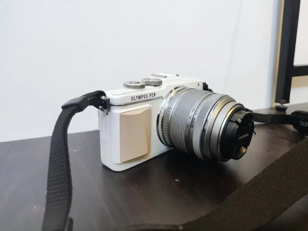 Olympus Epl 7 Vignette