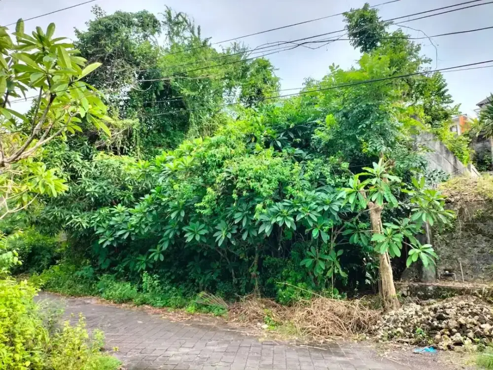 Dijual Tanah Denpasar Timur Murah Siap Bangun Hunian