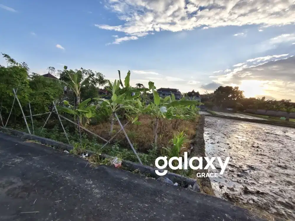 DIJUAL TANAH LOKASI STRATEGIS DI MAS UBUD GIANYAR