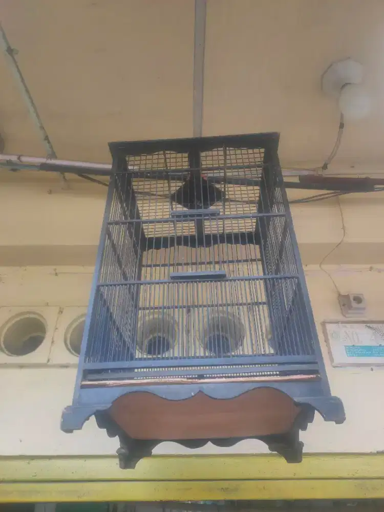 Jual borongan aja
