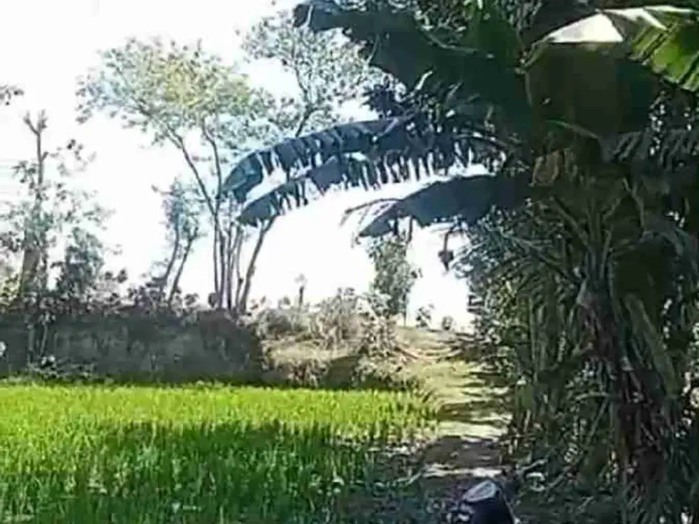 tanah  murah kebak kramat