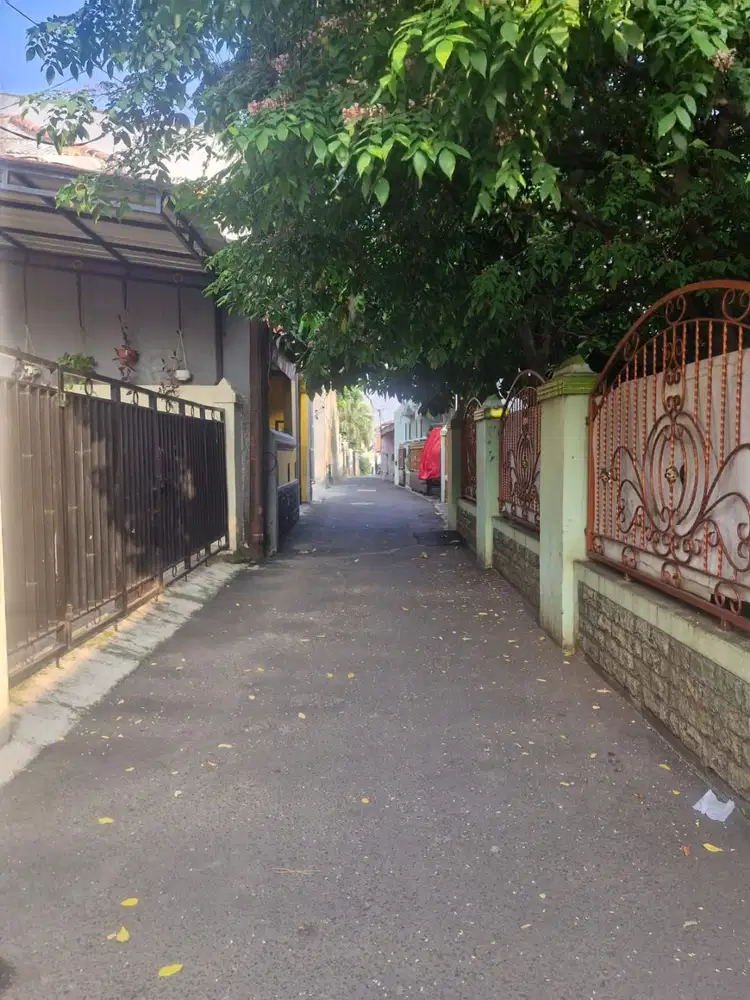 Dikontrakan Rumah Murah