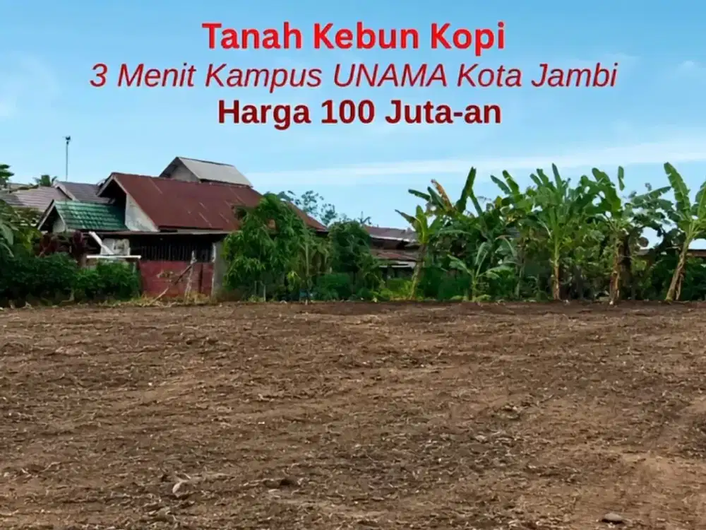 Tanah Kebun Kopi Kota Jambi Dekat Jalan As 1