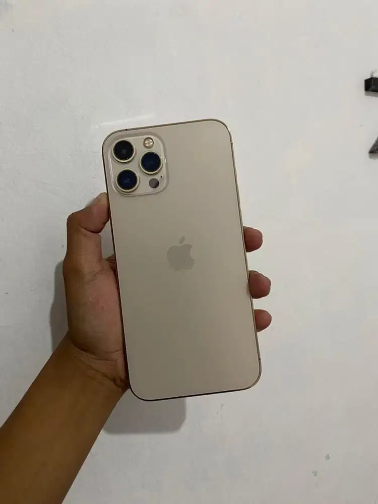 Iphone 12promax 128gb fulset ori