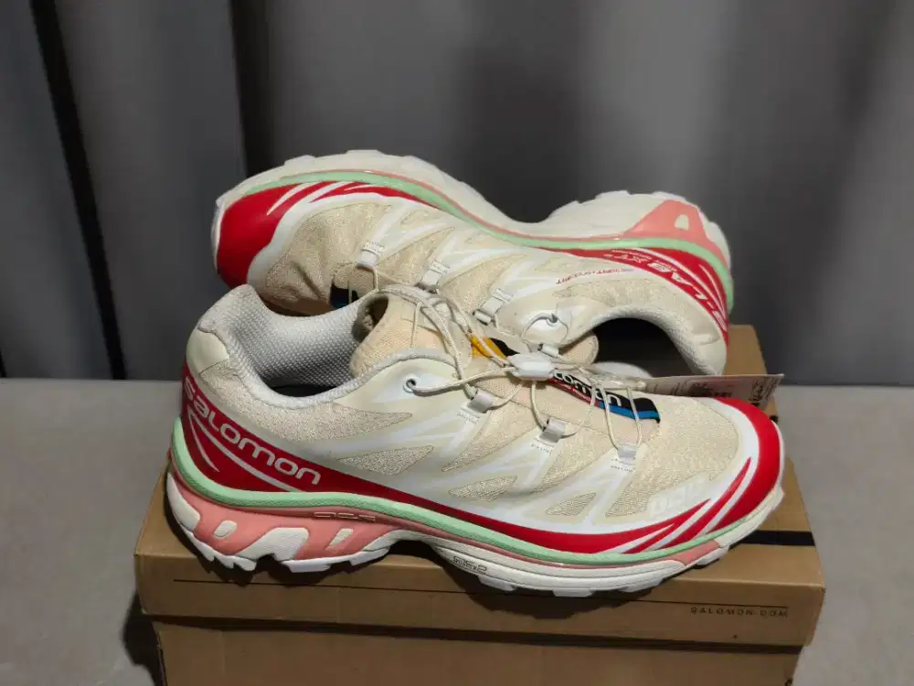 Salomon xt-6 bnib original