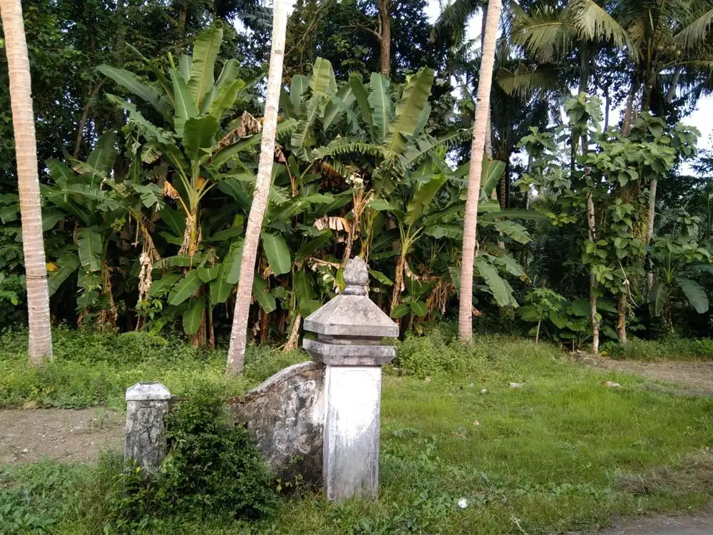 Dijual tanah pekarangan