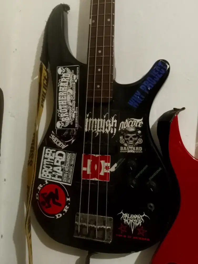 Bass custom Boysen