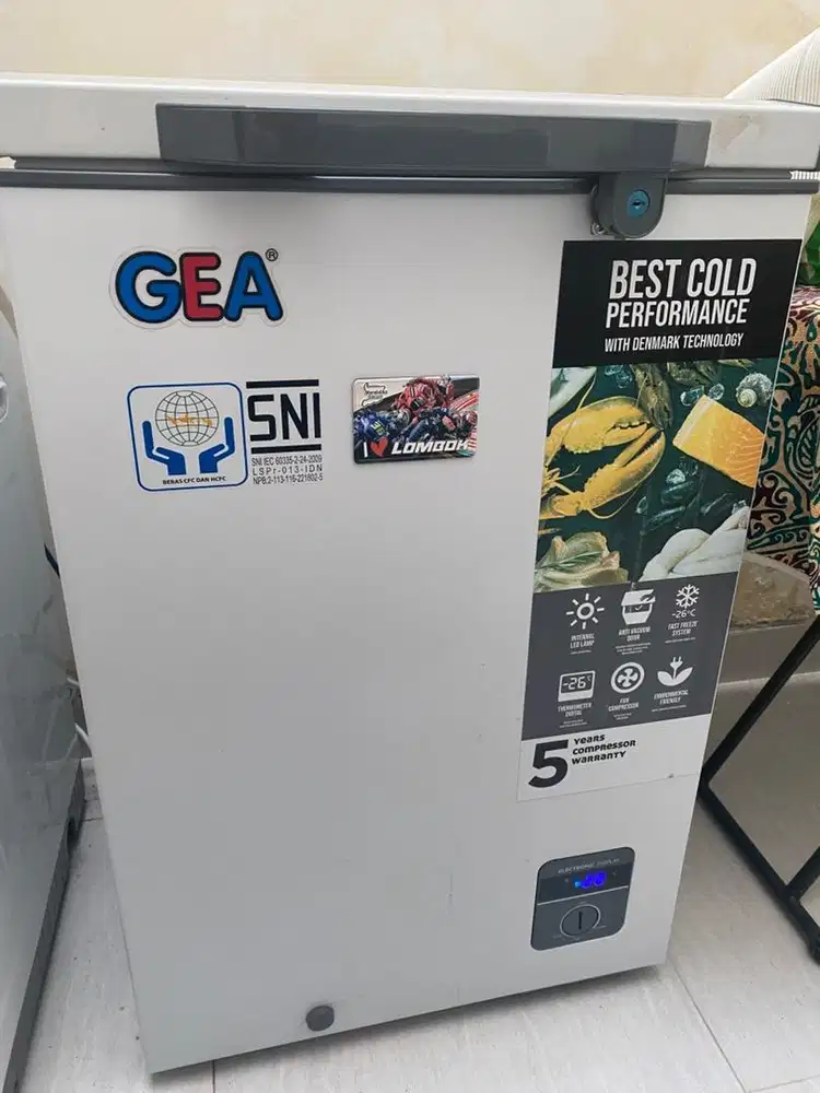 GEA Chest Freezer 100 Liter