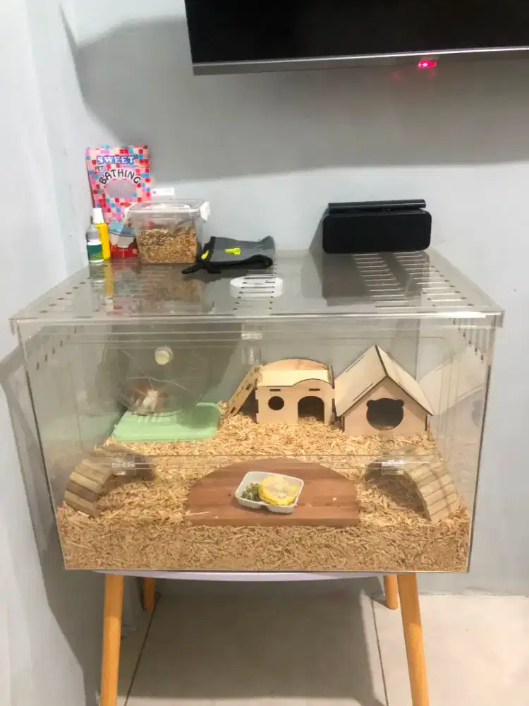 KANDANG DAN HAMSTER