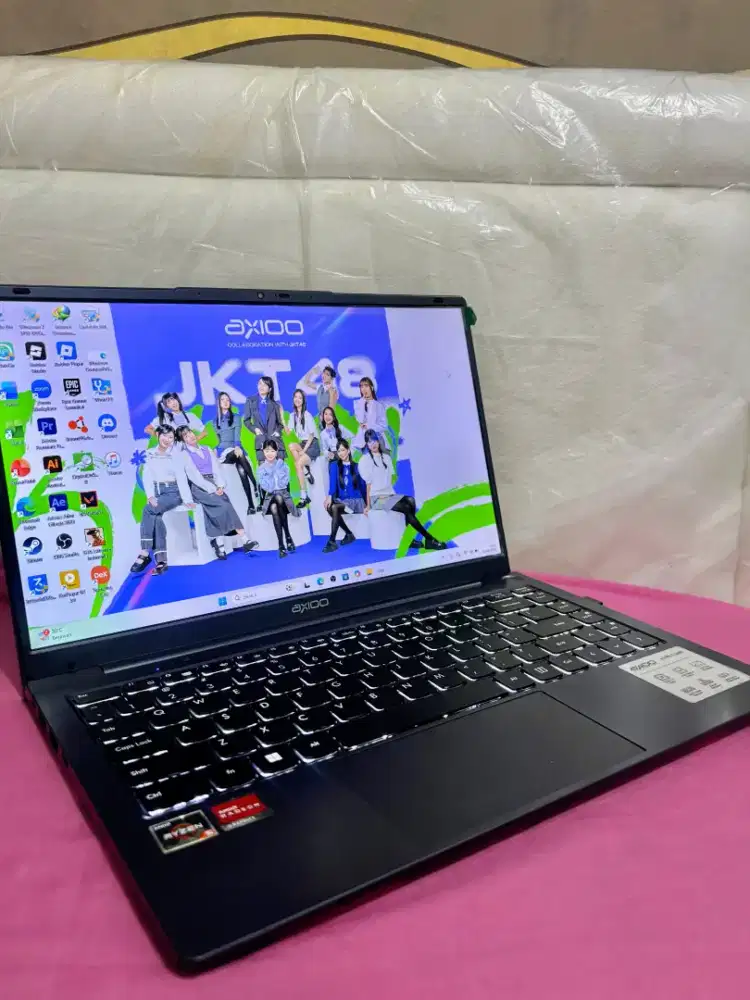Axioo Hype 5 Ryzen 5 3500U RAM 24GB 256GB