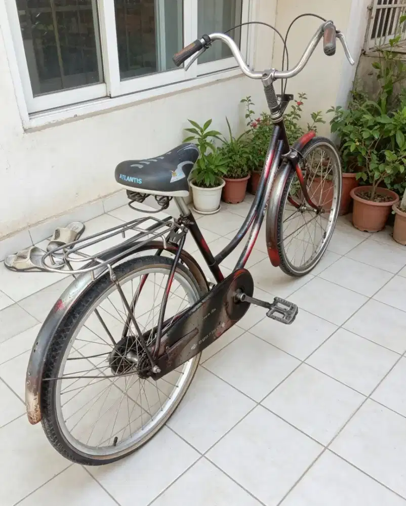 Sepeda keranjang dewasa Phoenix uk24